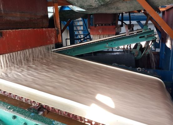 湿った鉄の除去のための傾斜プレート磁気分離器を供給したビデオ出口検査